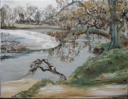 Horseshoe Falls, LLangollen